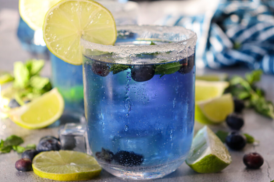 Non-Alcoholic Blueberry Mojito
